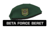 Betaforceberet2_1_